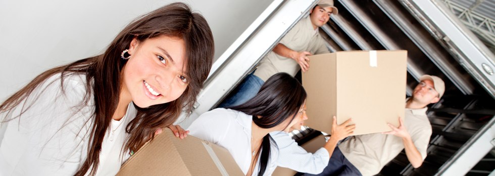 Professional Removalists Windsor VIC